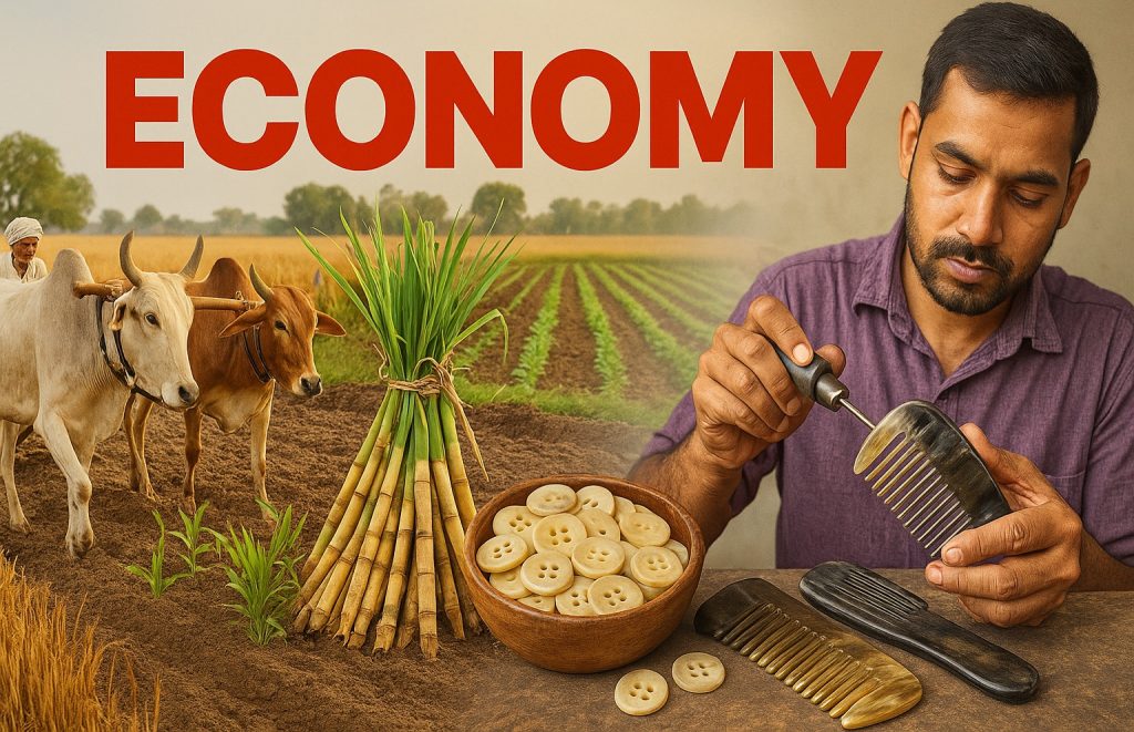 Sambhal economy