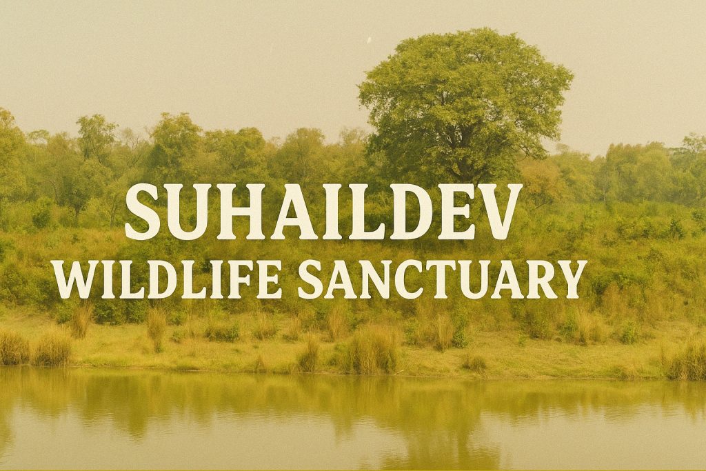 Suhaildev wildlife sanctuary, shrawasti